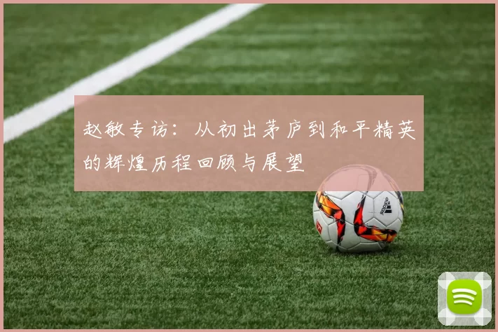 赵敏专访：从初出茅庐到和平精英的辉煌历程回顾与展望