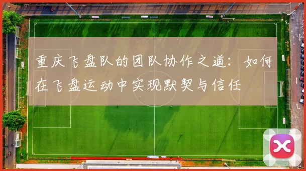 重庆飞盘队的团队协作之道：如何在飞盘运动中实现默契与信任