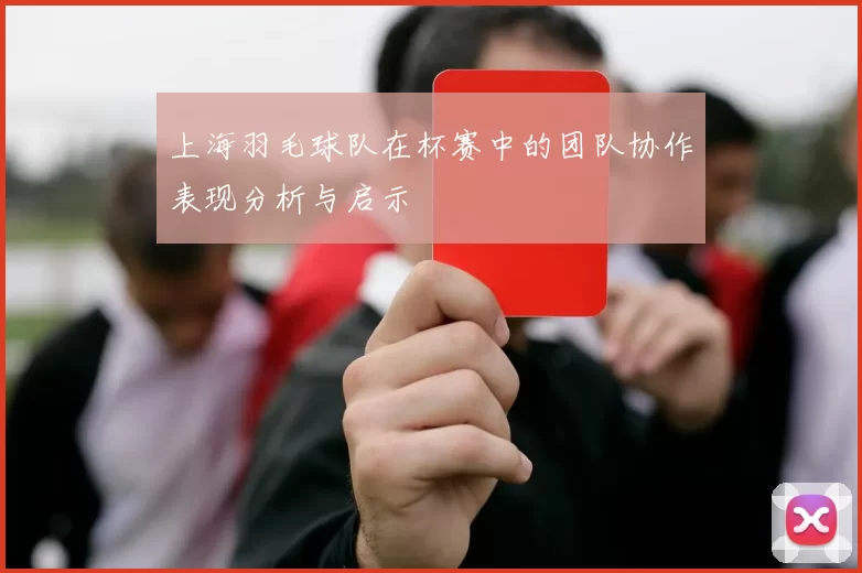 上海羽毛球队在杯赛中的团队协作表现分析与启示