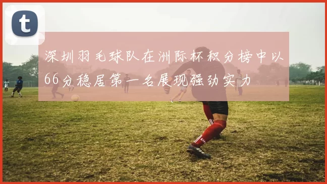 深圳羽毛球队在洲际杯积分榜中以66分稳居第一名展现强劲实力