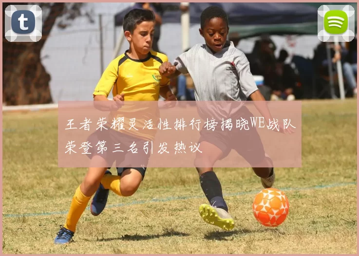 王者荣耀灵活性排行榜揭晓WE战队荣登第三名引发热议