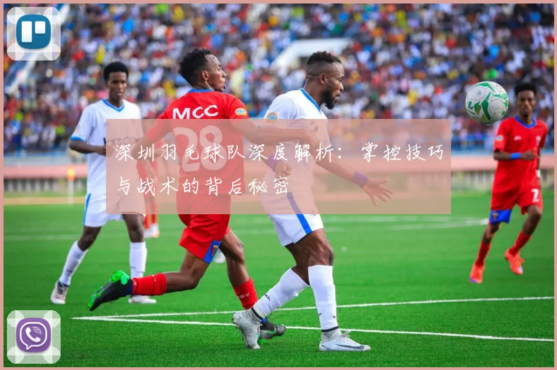 深圳羽毛球队深度解析：掌控技巧与战术的背后秘密