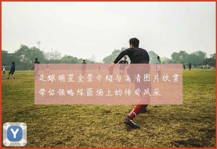 足球明星全景介绍与高清图片欣赏带你领略绿茵场上的传奇风采