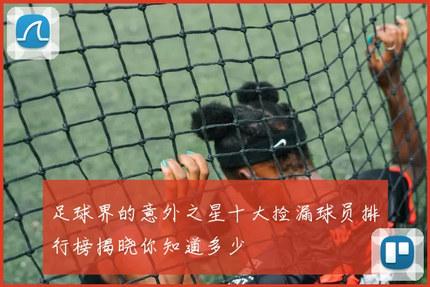 足球界的意外之星十大捡漏球员排行榜揭晓你知道多少