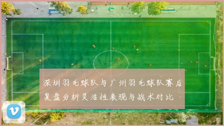 深圳羽毛球队与广州羽毛球队赛后复盘分析灵活性表现与战术对比