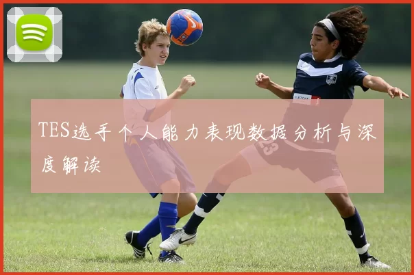 TES选手个人能力表现数据分析与深度解读