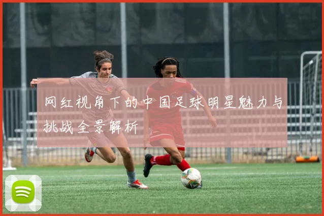 网红视角下的中国足球明星魅力与挑战全景解析