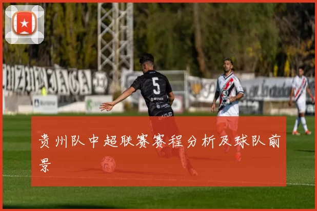 贵州队中超联赛赛程分析及球队前景