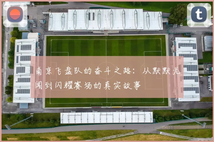 南京飞盘队的奋斗之路：从默默无闻到闪耀赛场的真实故事